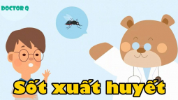 DoctorQ - Sốt Xuất Huyết